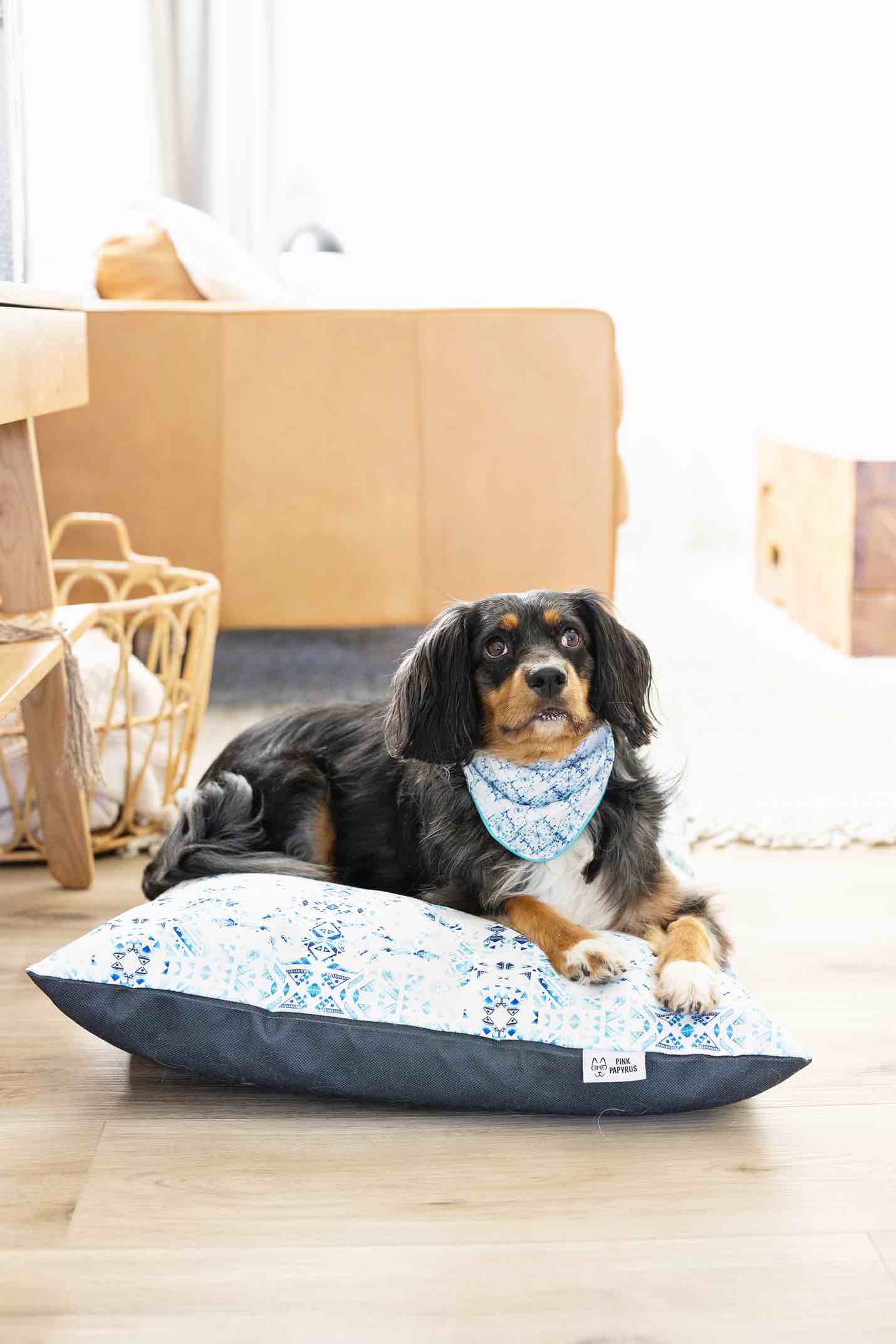 Koa Dog Bandana