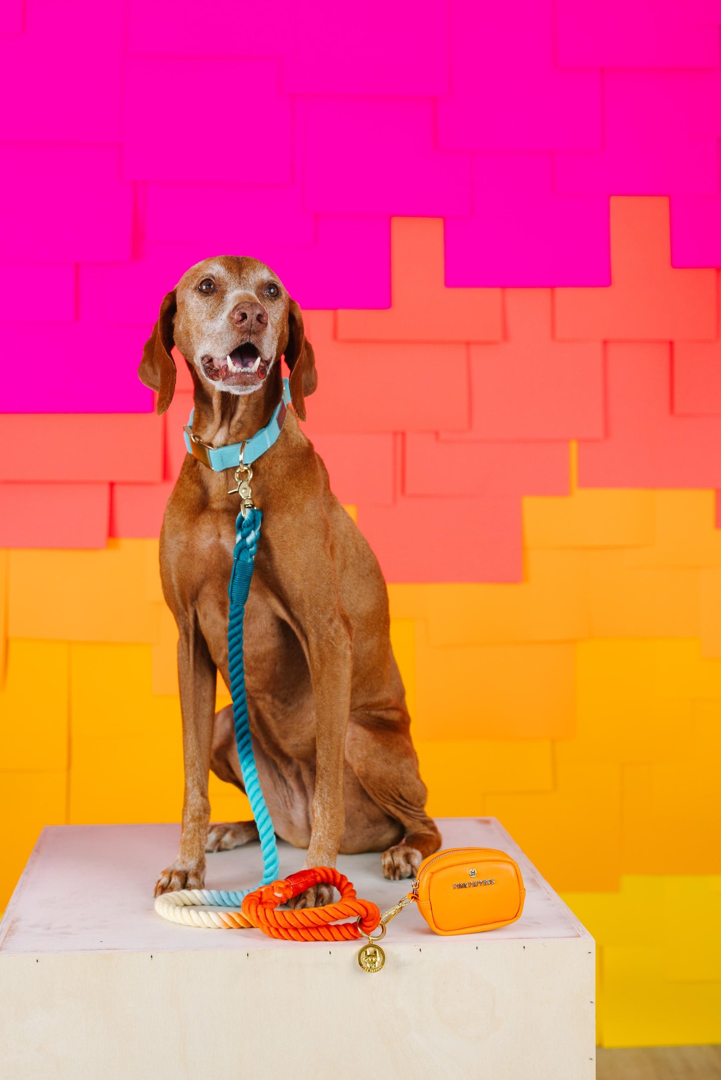 Beau Rope Dog Leash