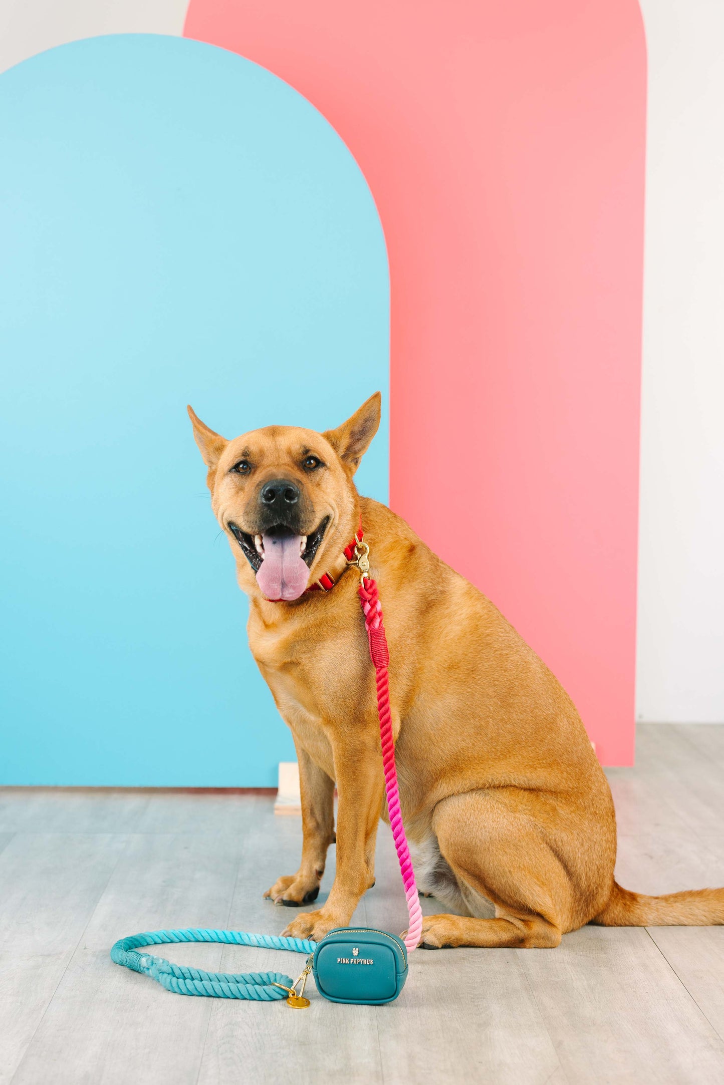 Micah Rope Dog Leash