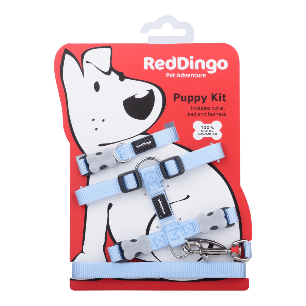 Puppy Kit Pastel Blue