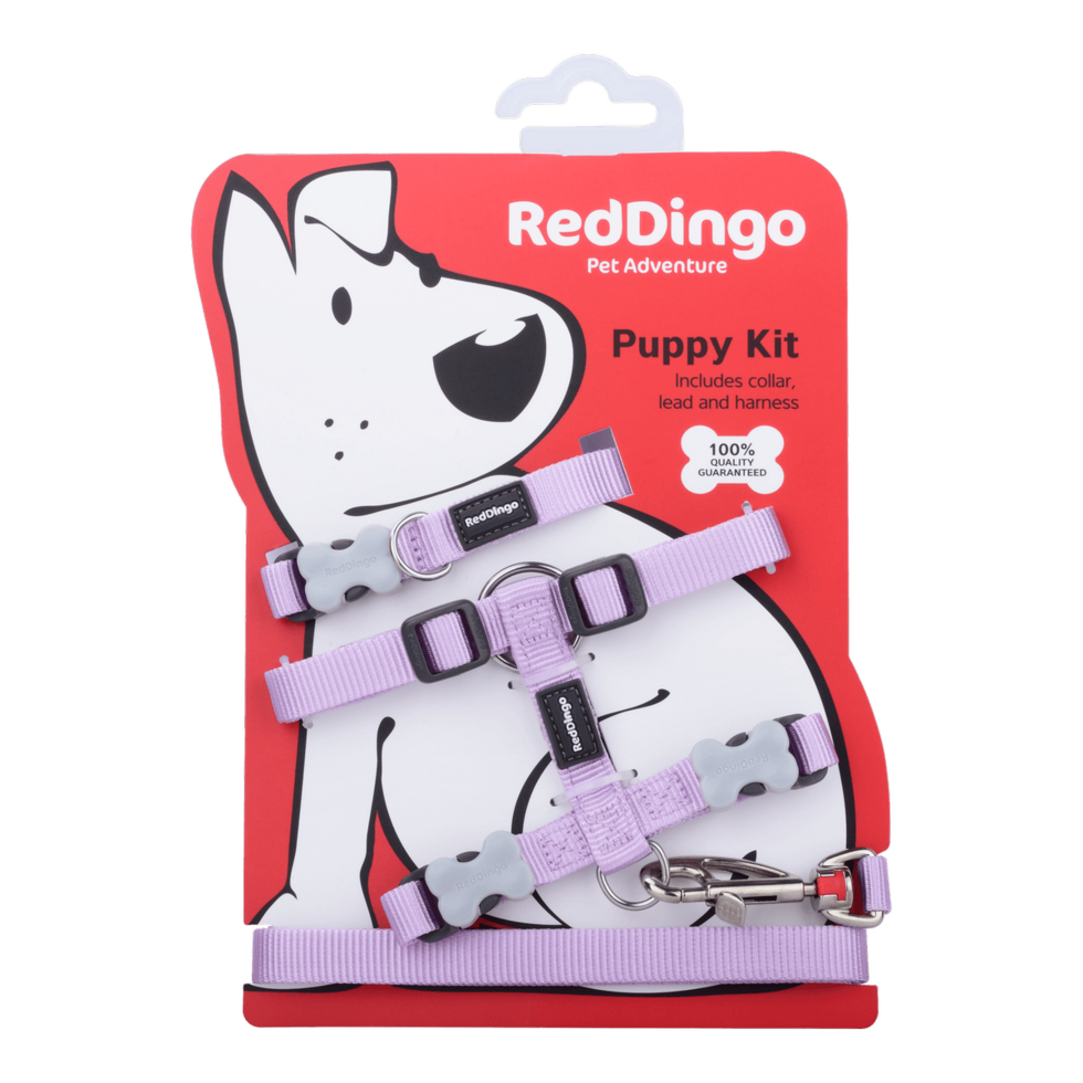 Puppy Kit Pastel Purple