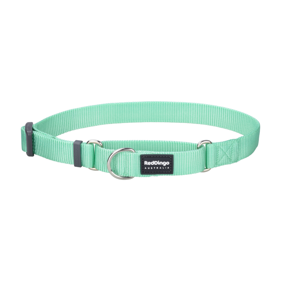 Pastel Green