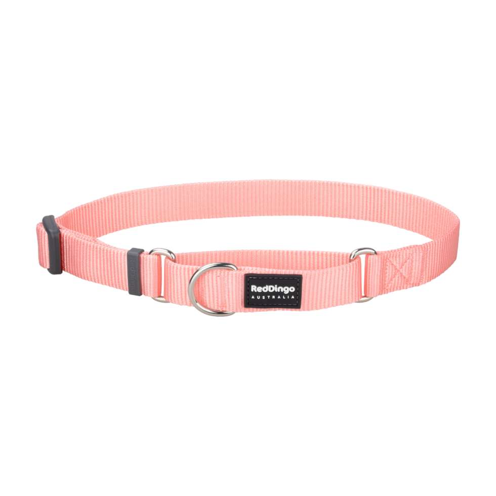 Pastel Orange