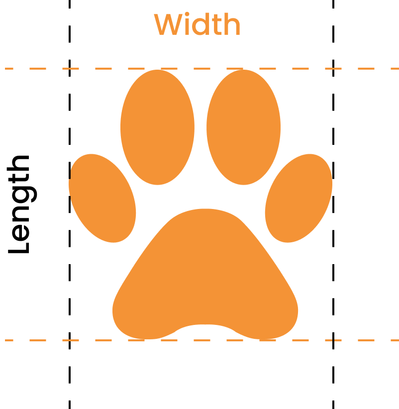 Fetchers paw size chart, sizes 1 to 12