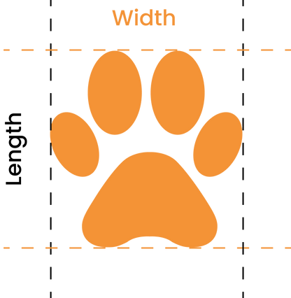 Fetchers paw size chart, sizes 1 to 12