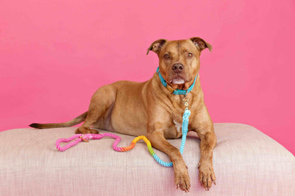 Marley Rope Dog Leash