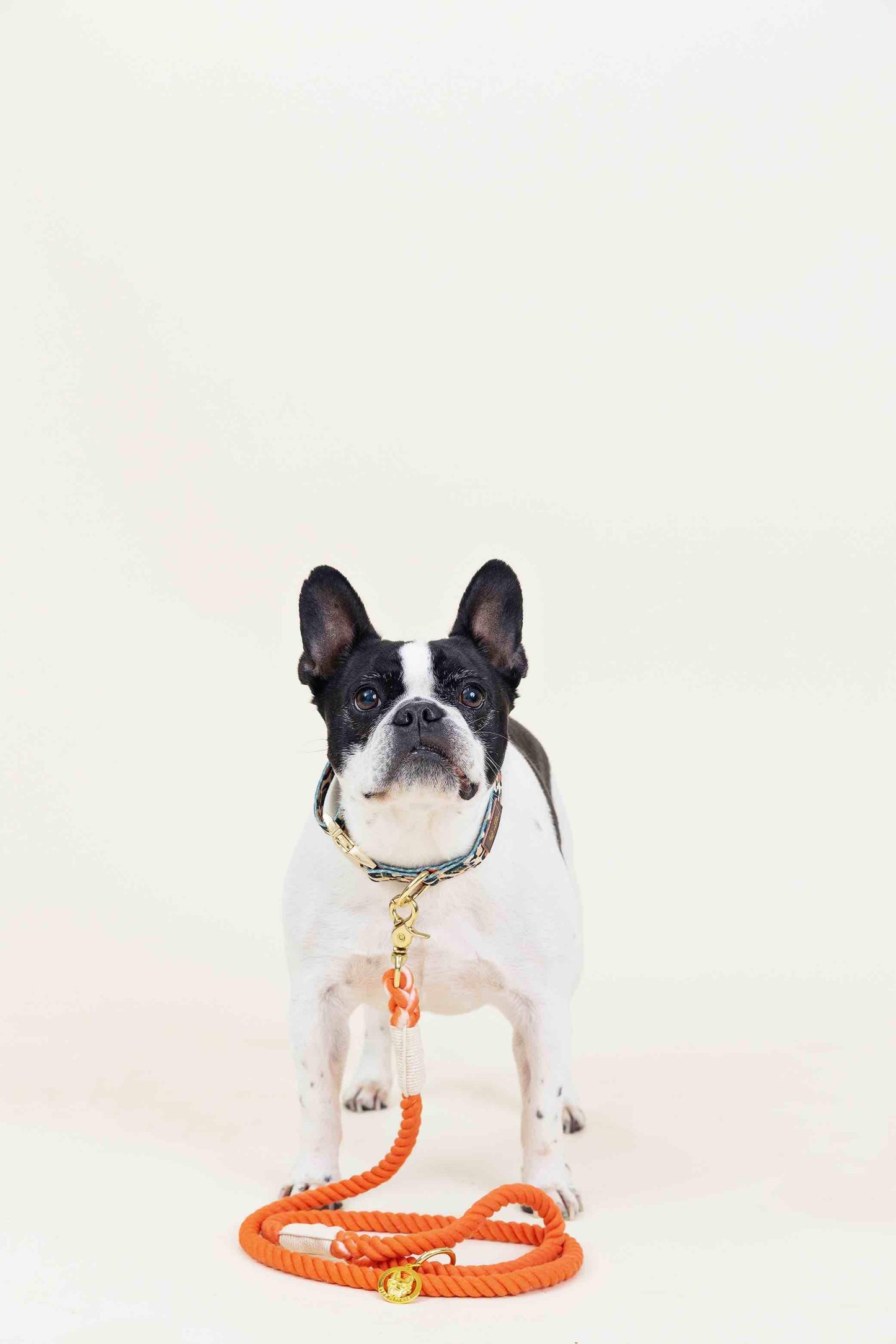 Cora Rope Dog Leash