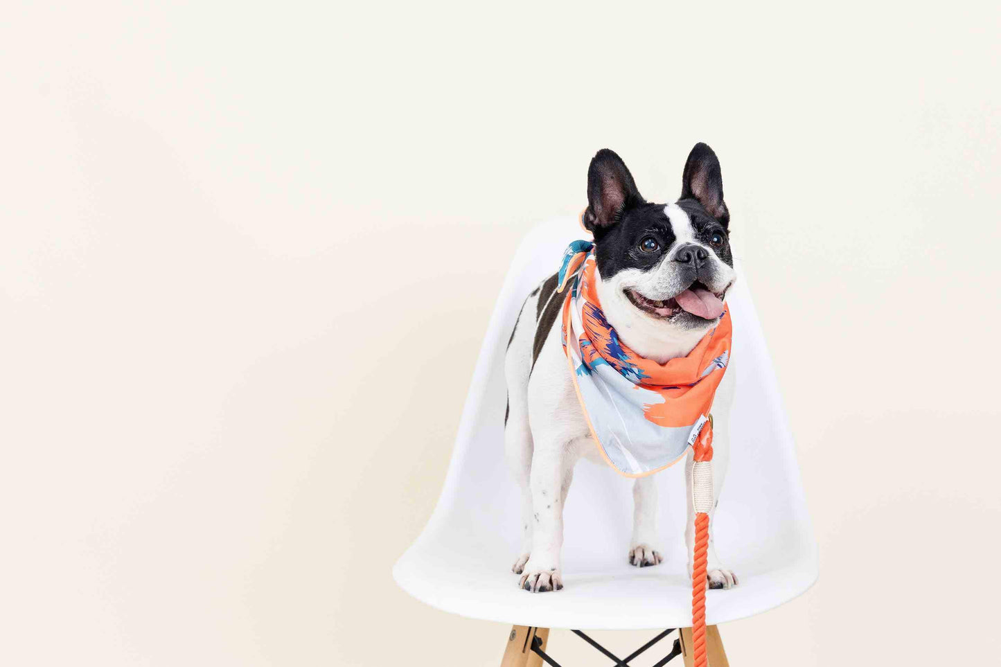 Reese Dog Bandana