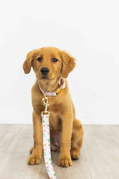 Isabella Dog Leash