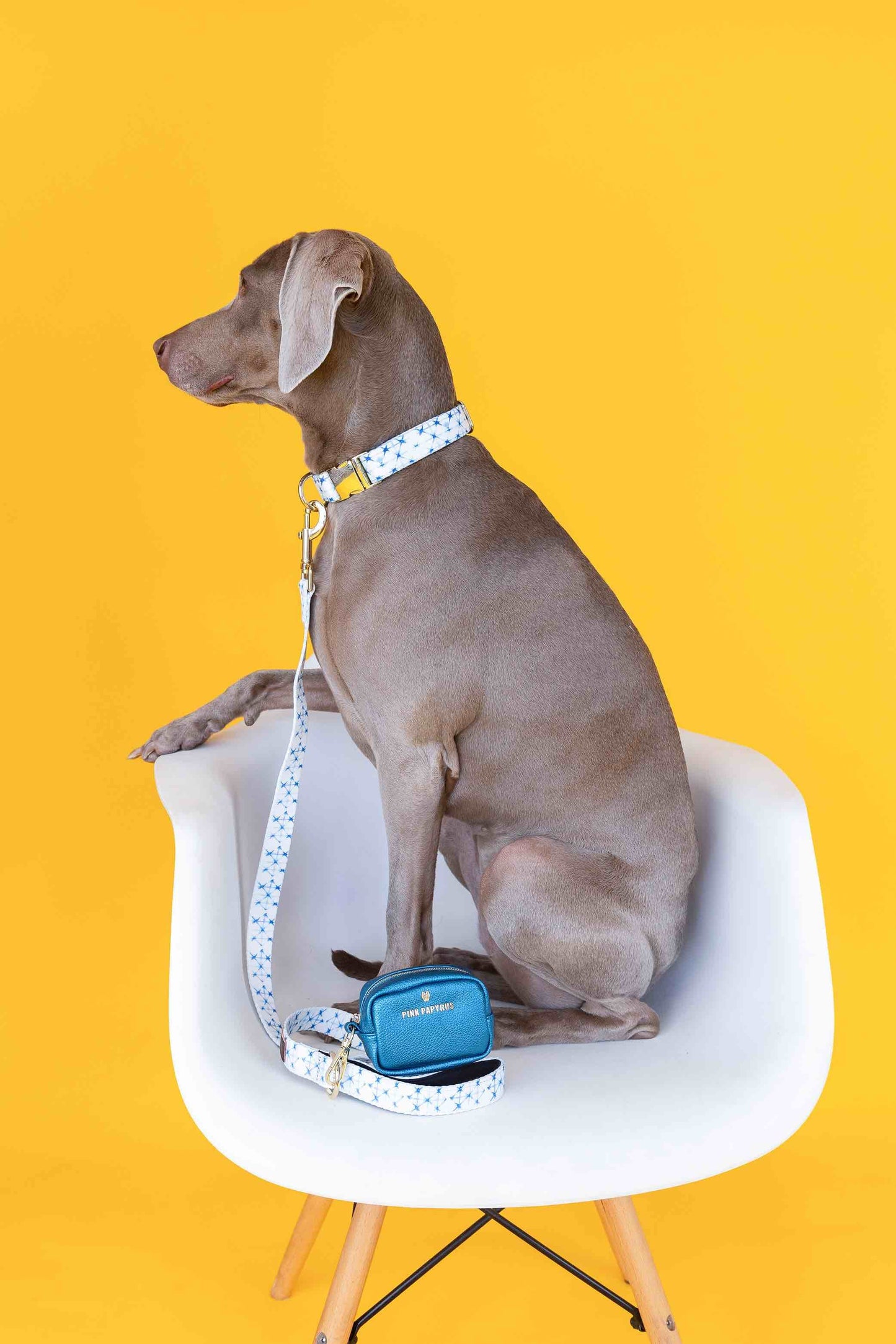 Drew Dog Leash