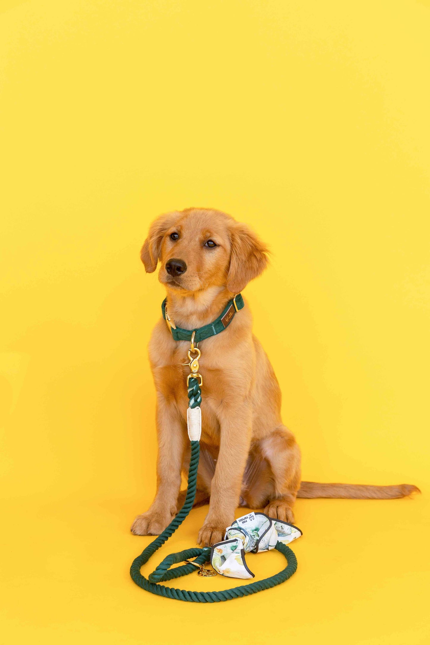 Cosette Dog Bandana