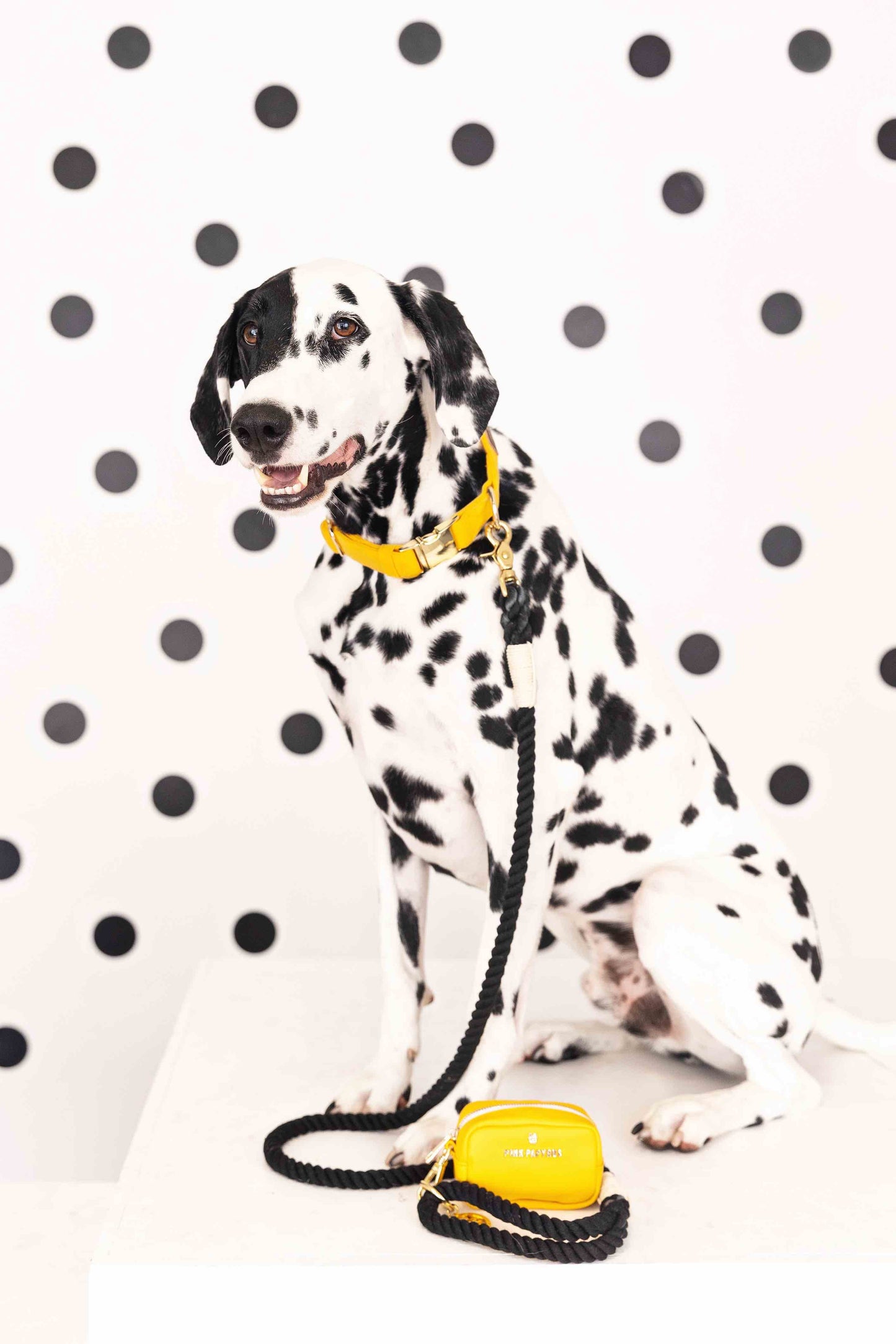 Kerry Rope Dog Leash