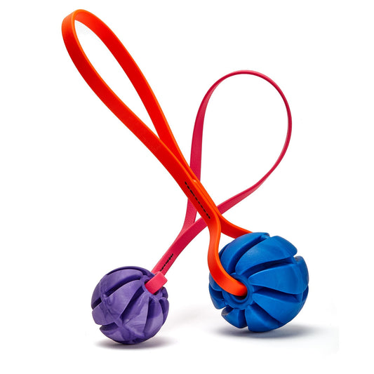 Rubber Spiral Ball Dog Toy with Biothane Handle