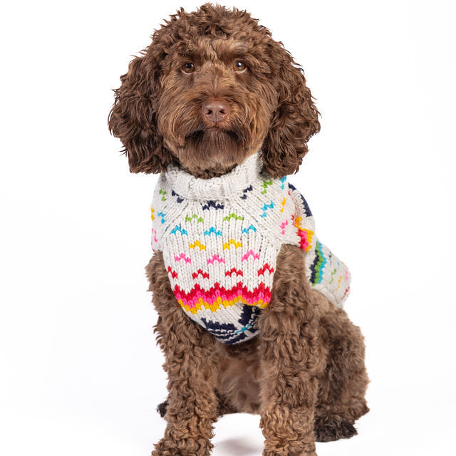 Rainbow Snowflake Dog Sweater