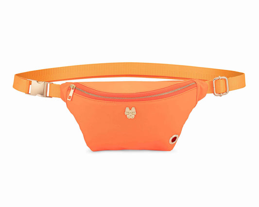 Remi Belt Bag