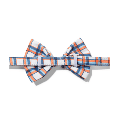 Ringo Dog Bow Tie