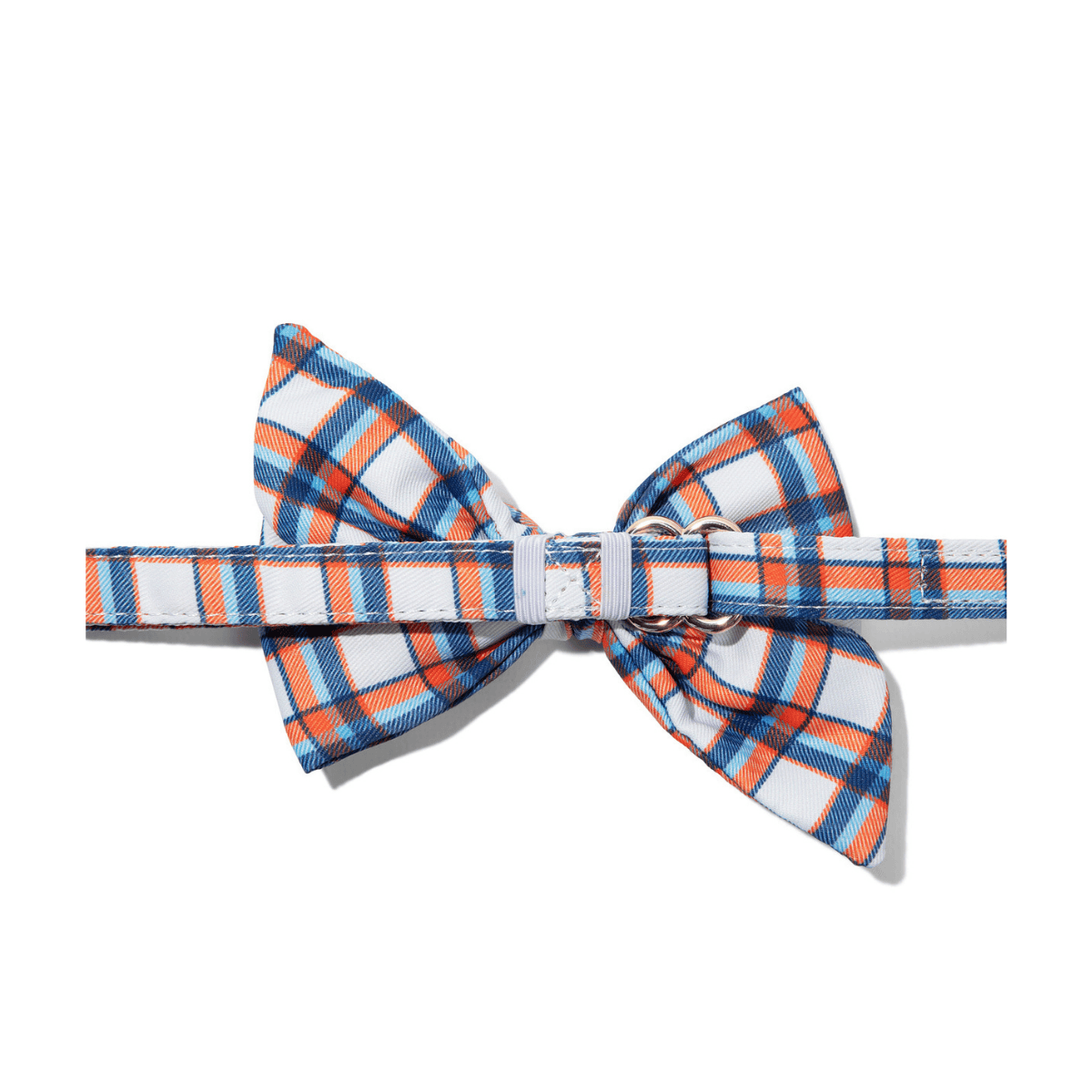 Ringo Dog Babe Bow