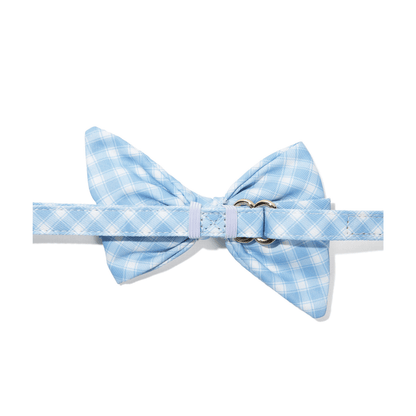 Rory Dog Babe Bow