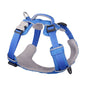 Sport Harness Electric Blue