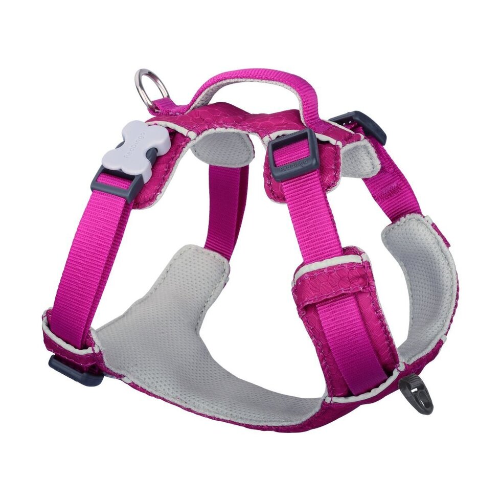 Sport Harness Fuchsia