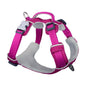 Sport Harness Fuchsia