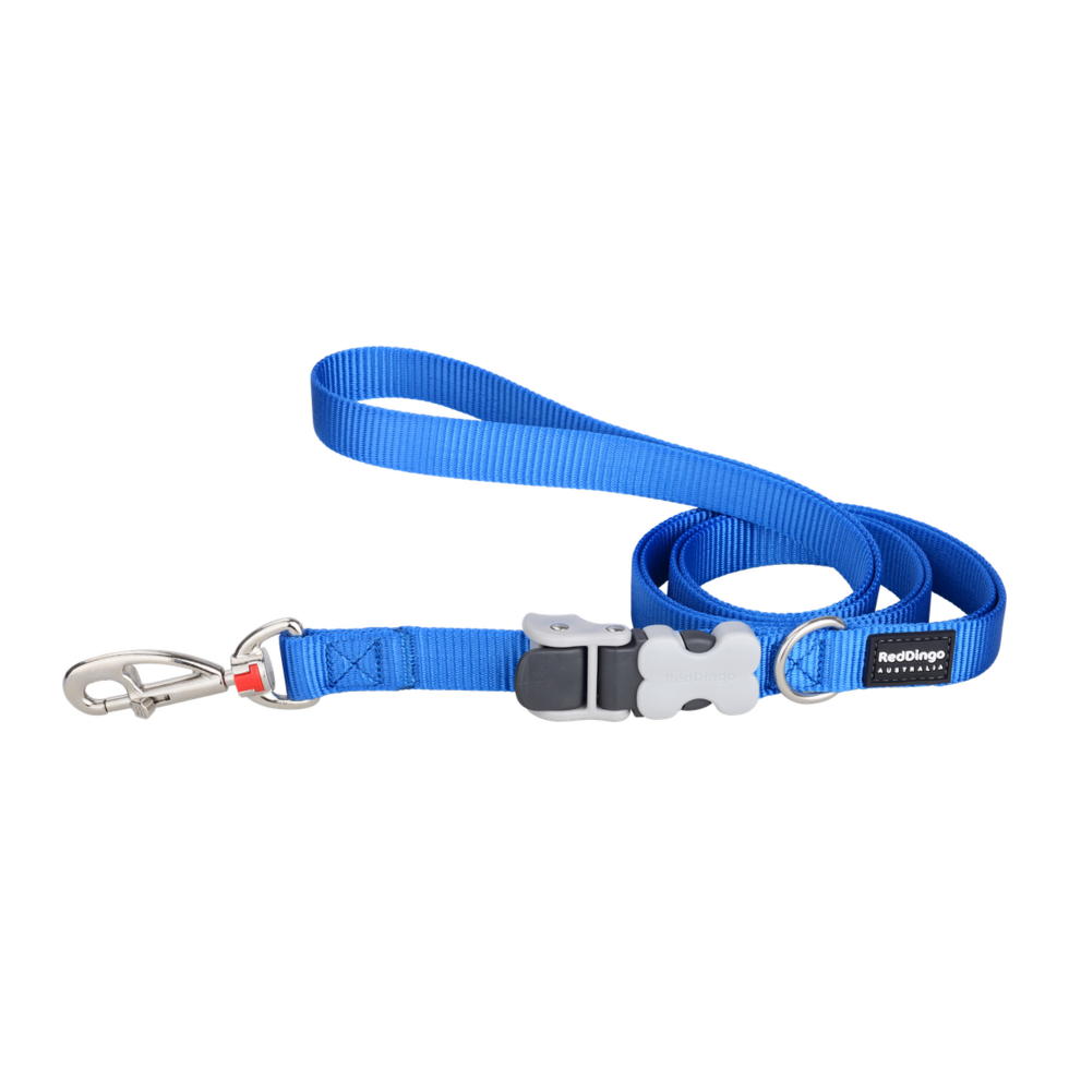 SuperLead Electric Blue