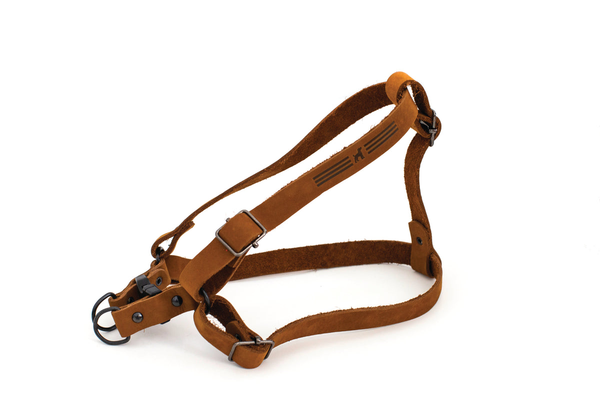 Sport Leather Step-In Harness