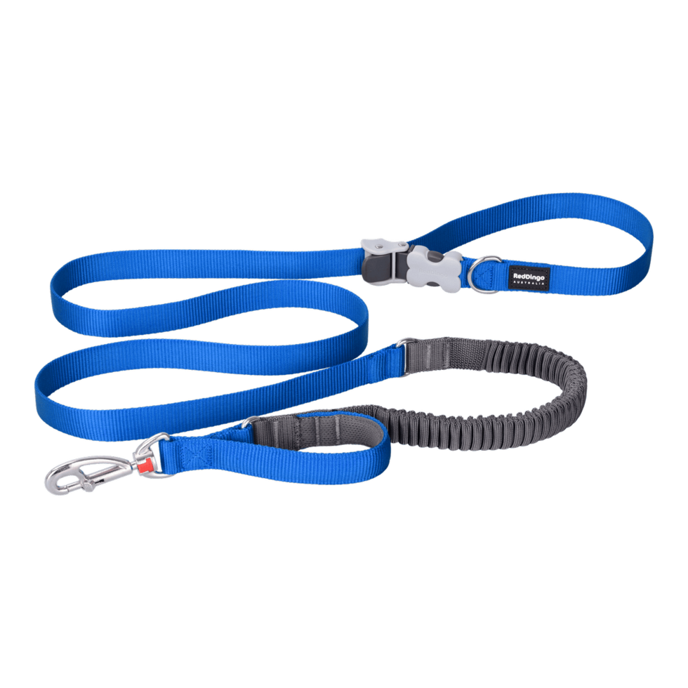 Bungee SuperLead Electric Blue