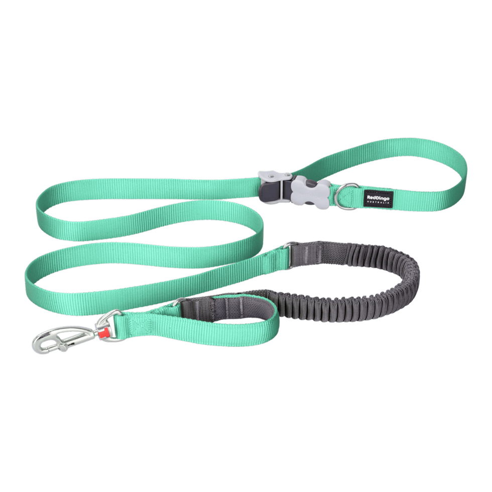 Bungee SuperLead Pastel Green