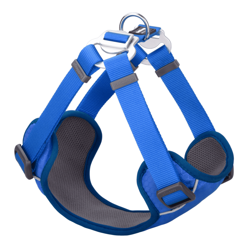 Padded Step-In Harness Electric Blue