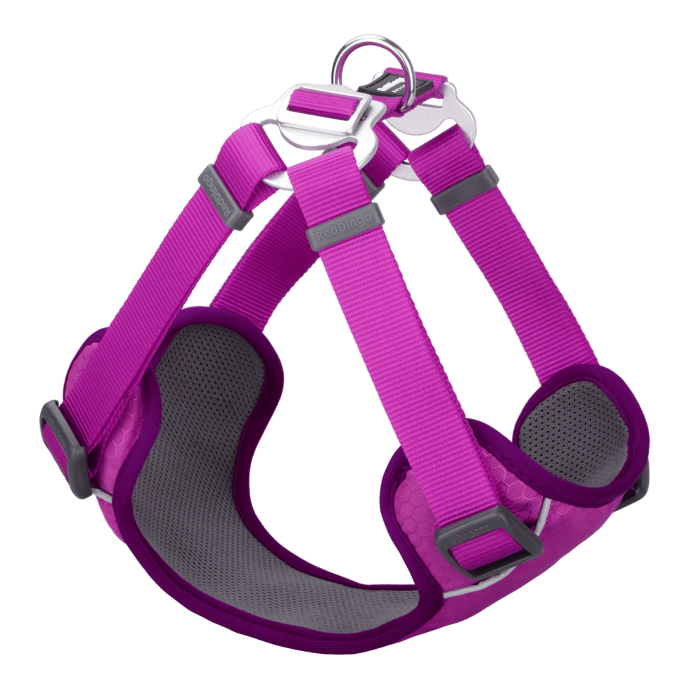 Padded Step-In Harness Fuchsia