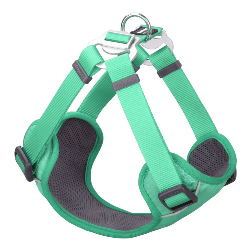Padded Step-In Harness Pastel Green