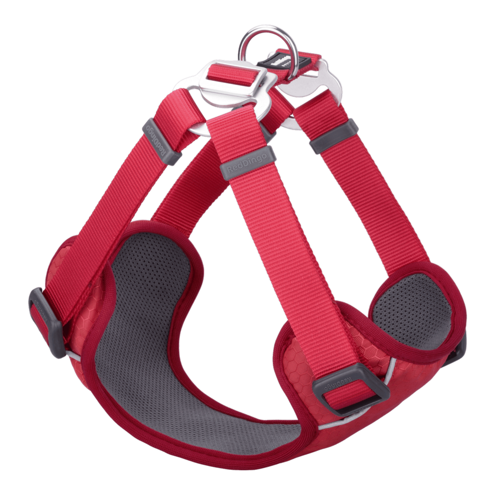 Padded Step-In Harness Red