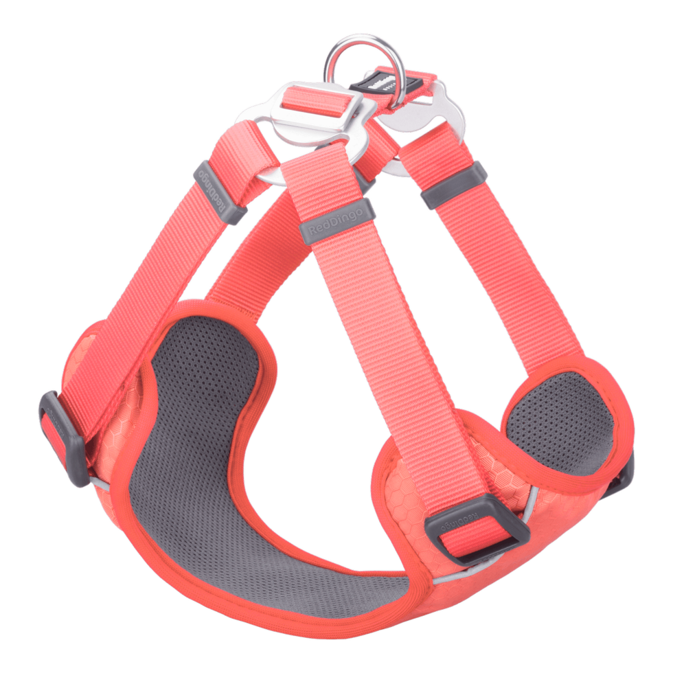 Padded Step-In Harness Hi-Vis Peach