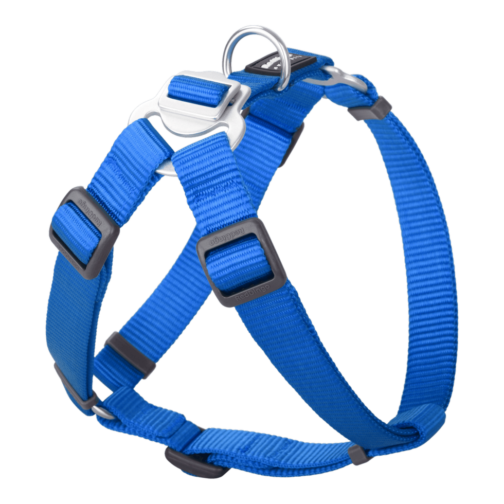 Step-In Harness Electric Blue