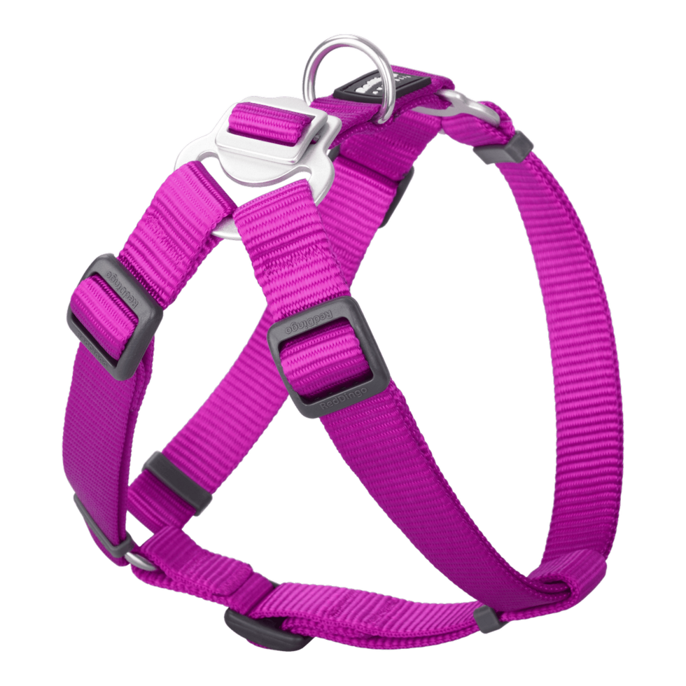 Step-In Harness Fuchsia