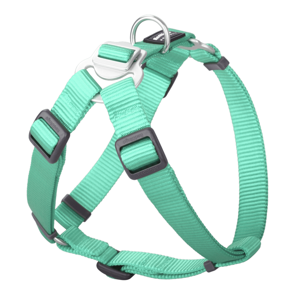Step-In Harness Pastel Green