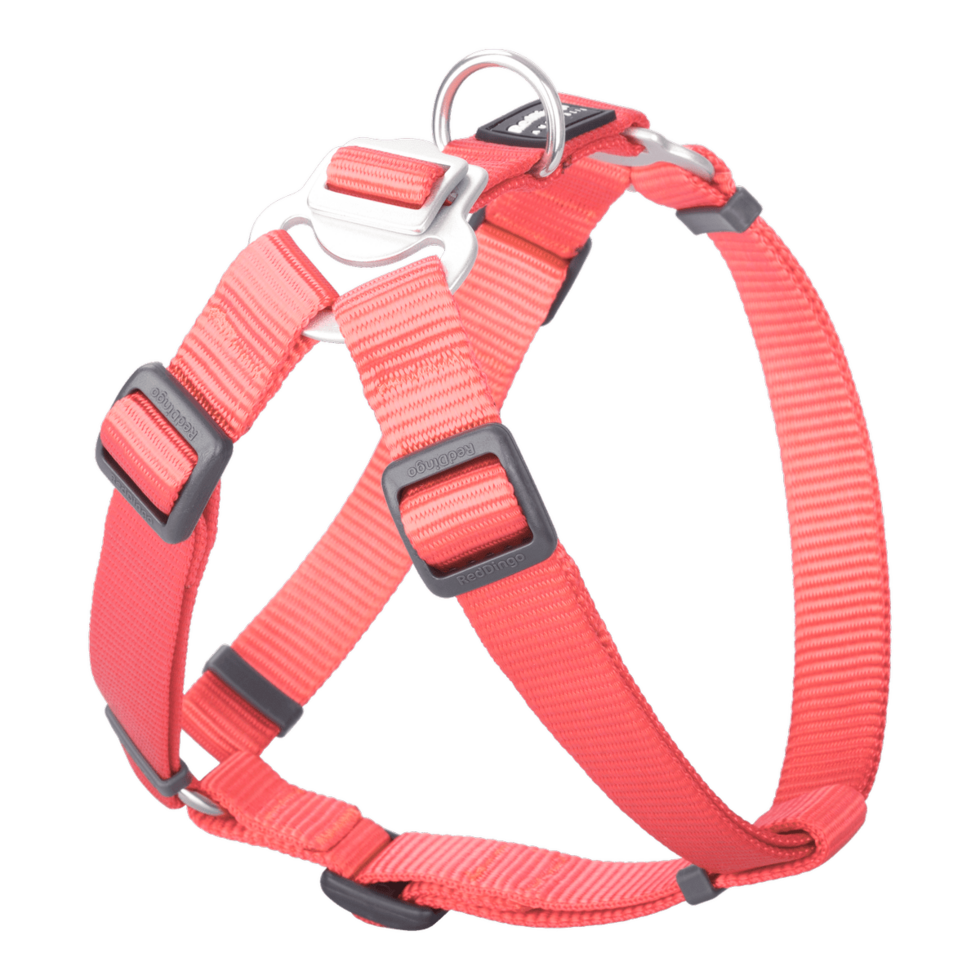 Step-In Harness Hi-Vis Peach