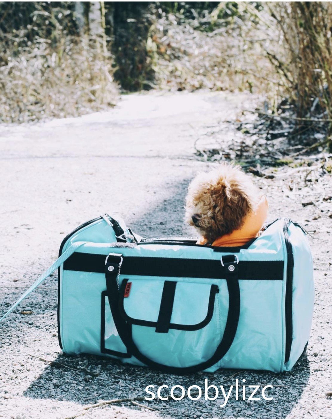 312 Hideaway™ Duffel Pet Carrier