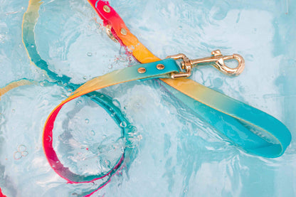 Pippa All Weather Dog Leash