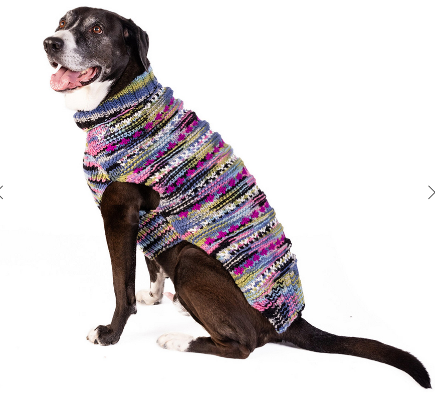 Black and white dog wearing a colorful knitted sweater with pink, blue, yellow, and black stripes