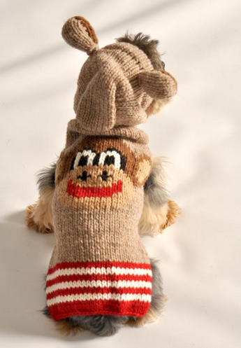 Small dog wearing a knitted monkey sweater with a matching hood