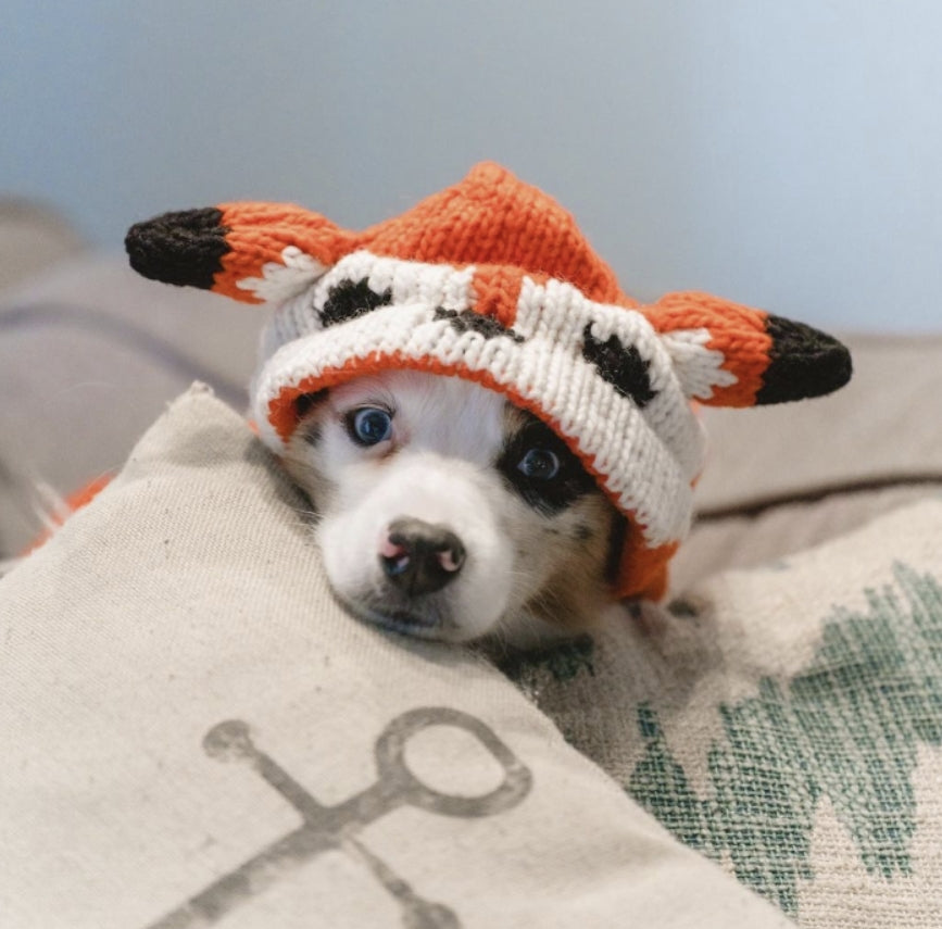 Chilly Dog Characters Foxy Hoodie worn by a small puppy