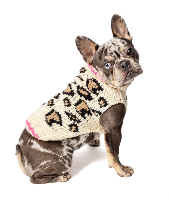 French bulldog wearing a Chilly Dog leopard print sweater