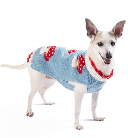 White dog wearing a light blue sweater with red and white mushroom pattern