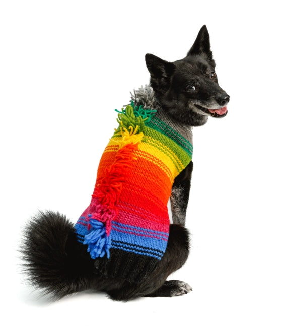 Black dog wearing a rainbow striped sweater with a colorful fringe down its back