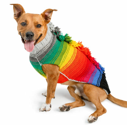 Brown dog wearing a rainbow striped sweater with colorful tassels