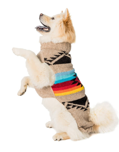 Golden Retriever dog wearing a beige sweater with black, red, orange, yellow, and blue patterns