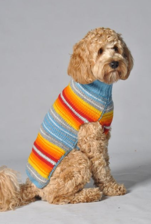 A light brown dog wearing a blue, orange, red, and yellow striped knitted sweater