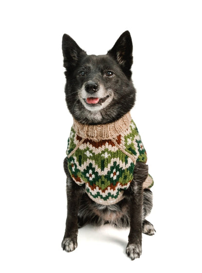 Black dog wearing a Chilly Dog Fairisle Raggwool sweater